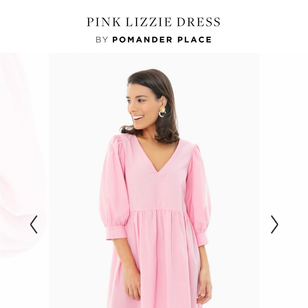 Pink Lizzie Pomander Place dress